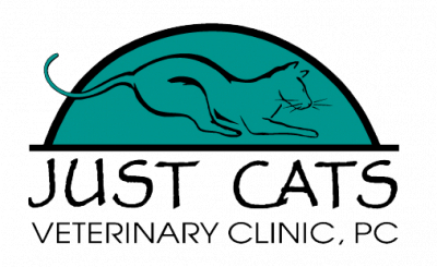 Owner of Just Cats Proposes New Build for Clinic and Apartments